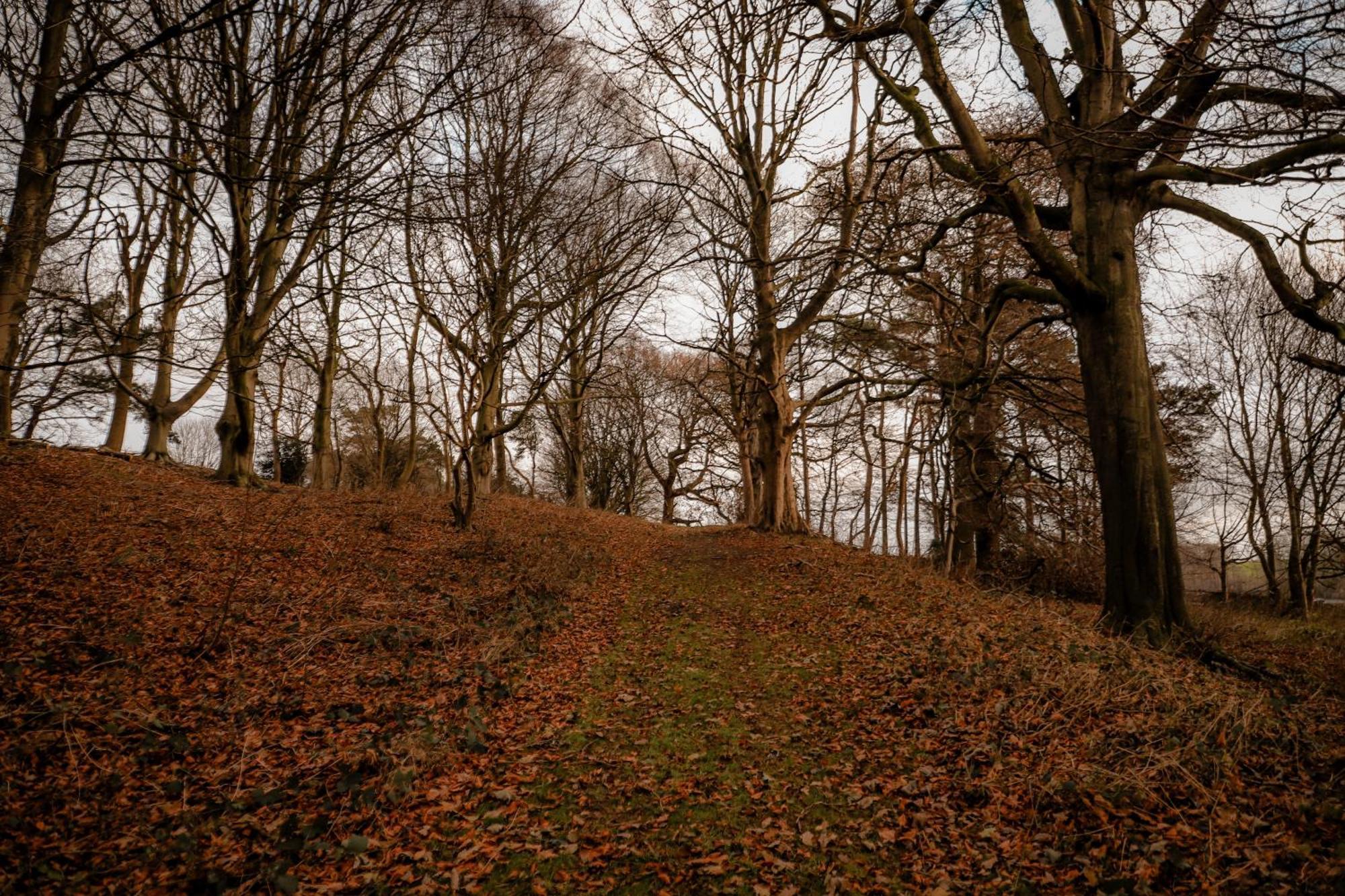 Gallows Hill Bed and Breakfast Scarborough Buitenkant foto